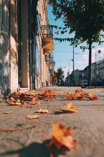 褪去了炎熱,天氣也漸漸涼爽,秋意漸濃,頭天晚上充滿電,趁著初秋的周末