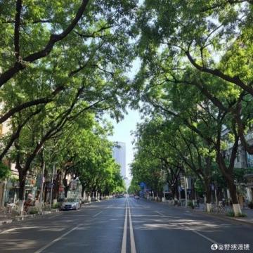 成都初一學生親歷:如何僅用798元完成48小時的劍門關探險之旅