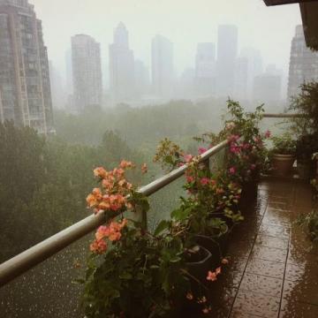 最新！上海一地暴雨黃色預警升級為橙色，過去12小時累積雨量較大