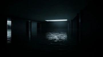 凌晨兩點(diǎn)的手電光里，一片葉子為何如此金貴？探秘武漢東西湖的種植大棚