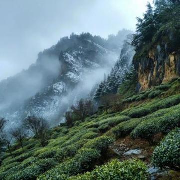 云端之上:梅州客家鄉(xiāng)土的夢(mèng)幻美景