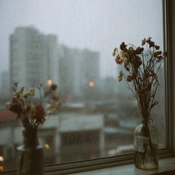 2025年11月4日：陰雨天氣中的平凡生活瑣記