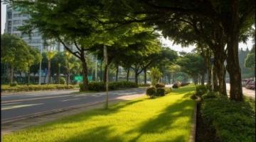 上海公交8路一粒時光膠囊在上海楊浦區輾轉