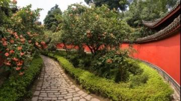 寶子們！在華南師范大學(xué)石牌校區(qū)，我找到了廣州最仙的校園花海打卡地！