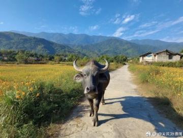 成都初一學生親歷:如何僅用798元完成48小時的劍門關探險之旅