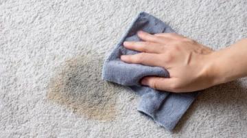 地毯臟漬輕松去?懶人必備、零成本,3個(gè)反常識妙招讓舊毯秒變新!