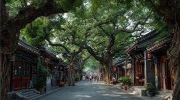 濟南寶藏小眾打卡地,不擠不撞超好玩