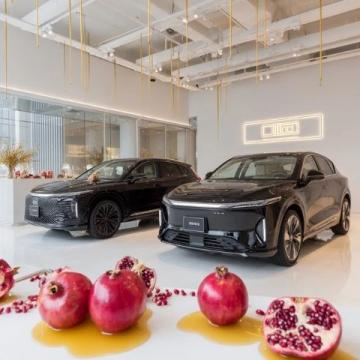 專家預言:未來國產汽車市場或將只剩3至5大品牌