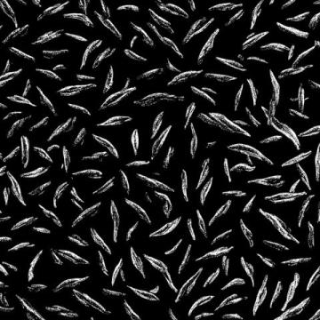 一口就愛上的安吉白茶,像在茶園蹦迪。