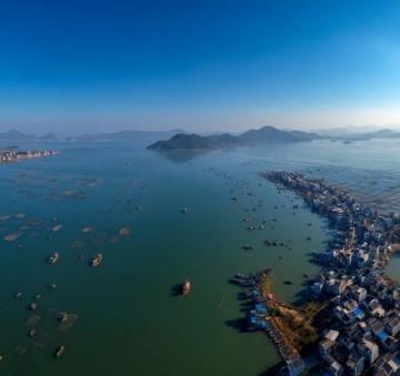 廣東臺山滑翔傘意外牽連養殖基地:刺激運動引發的連鎖危機