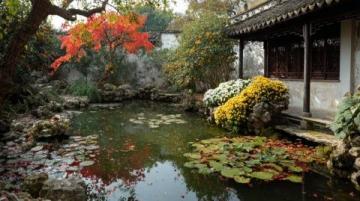 夢中的江南園林一日游