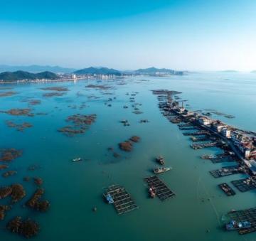 舟山群島:一片充滿魅力的天地,探索完美的自然風(fēng)景與文化精髓