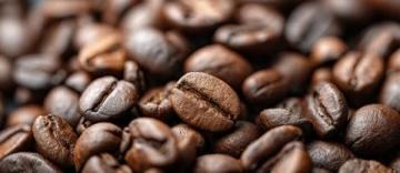 近日，抖音熱榜被一段視頻刷爆，視頻中的兩位明星楊超越和黃明昊挑戰了經典的Tro