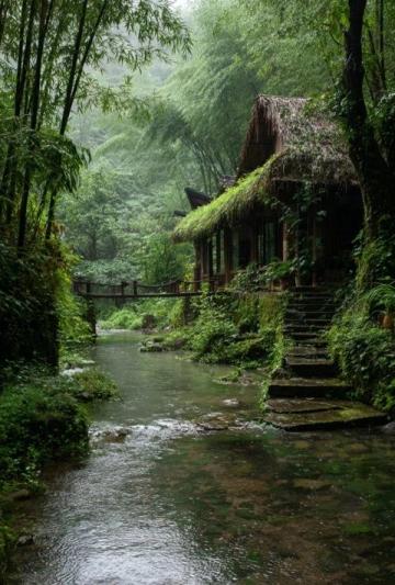 綏陽縣觀音巖景區位于貴州省遵義市綏陽縣,是一個自然風光秀麗、集休閑觀光與戶外活動