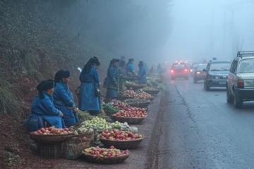 貴州美食眾多,土豆不可錯過