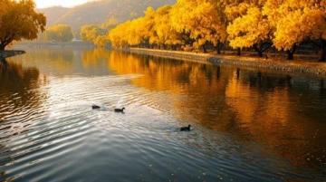 八大處公園:北京西山的璀璨明珠,古剎鐘聲與紅葉爛漫相映成趣!