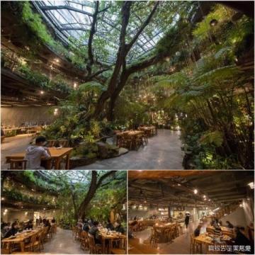 廣州塔下這家粵菜館絕了!龍蝦湯泡飯香到舔碗,坐擁絕美View!