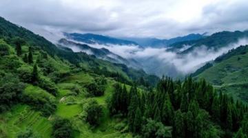 綏陽縣觀音巖景區位于貴州省遵義市綏陽縣,是一個自然風光秀麗、集休閑觀光與戶外活動