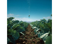 農林保水劑能保水嗎