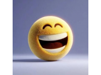 笑對(duì)生活的百般滋味一笑對(duì)困境