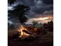 深圳寶安區農家樂野炊技巧分享：大樹生態農場柴火烹飪指南