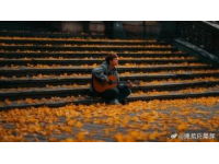 青春民樂奏響城市草坪，上海學生民樂聯盟專場演出精彩紛呈