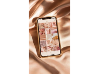 玉蘭花盛開時(shí)節(jié)，10款高互動(dòng)茶文文案等你來曬朋友圈