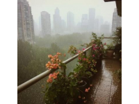 最新！上海一地暴雨黃色預警升級為橙色，過去12小時累積雨量較大