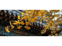 八大處公園：北京西山的璀璨明珠，古剎鐘聲與紅葉爛漫相映成趣！