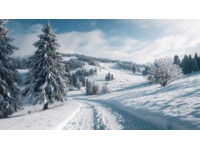 從阿爾卑斯雪峰到瑞士湖畔：一道驚艷的冬季風景