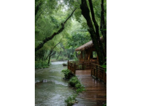 中國(guó)唯一沒(méi)有蚊子的地方