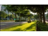 上海公交8路一粒時光膠囊在上海楊浦區輾轉