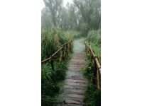 成都一日游及周邊景點推薦攻略