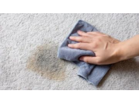 地毯臟漬輕松去？懶人必備、零成本，3個(gè)反常識妙招讓舊毯秒變新！