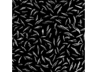 一口就愛上的安吉白茶，像在茶園蹦迪。