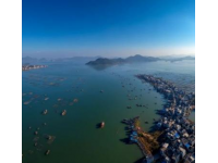 廣東臺山滑翔傘意外牽連養殖基地：刺激運動引發的連鎖危機