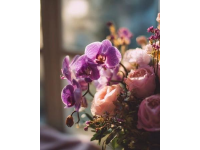 玫瑰蝶蘭綻放春城，盡顯春日韻味