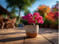 這段關于三角梅的描述生動有趣，既科普了知識又融入了生活化的比喻