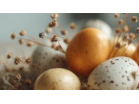 鵪鶉蛋營養價值高：比雞蛋多30%蛋白質，適合全家人享用