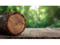 天然與科技融合：探索木材的現(xiàn)代防腐處理方案