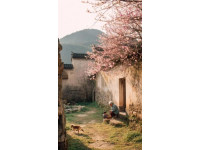 黟縣古村落·避世桃源之旅