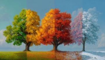 四季如歌:春夏秋冬種田人