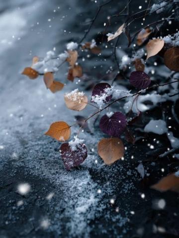 又是一年立冬時