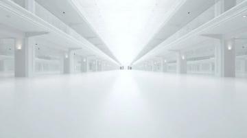 固始白鵝制成的鵝塊：鮮嫩美味，宴席必備的信陽名吃