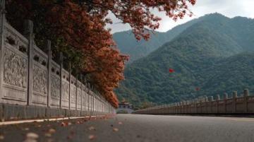 配色絕了!咸寧秋日頂流正在這條道路上演