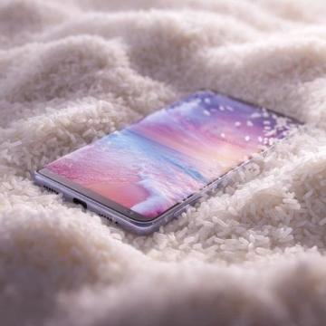 如何挑選優質小米？三招輕松找出“米中黃金”！