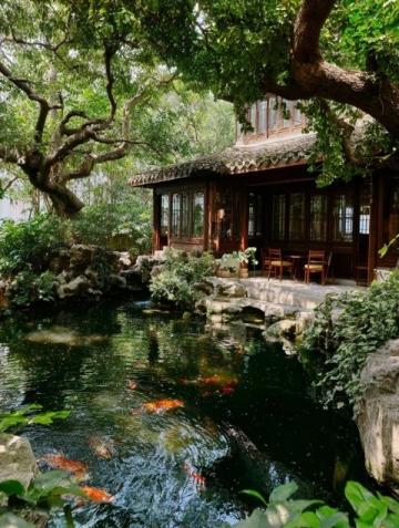 湘江畔的小龍蝦,味道上的江南風光