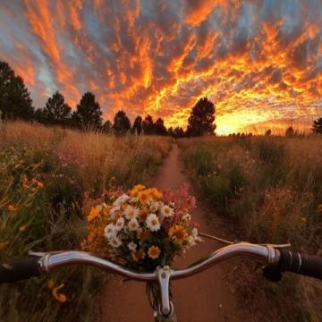 周末德州騎行記:東德街頭賞花購物,體驗詩意煙火生活