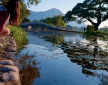 臺州必游:自然奇觀與人文勝跡合集