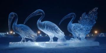 立冬后冰城景色獨特,空氣清新宜人